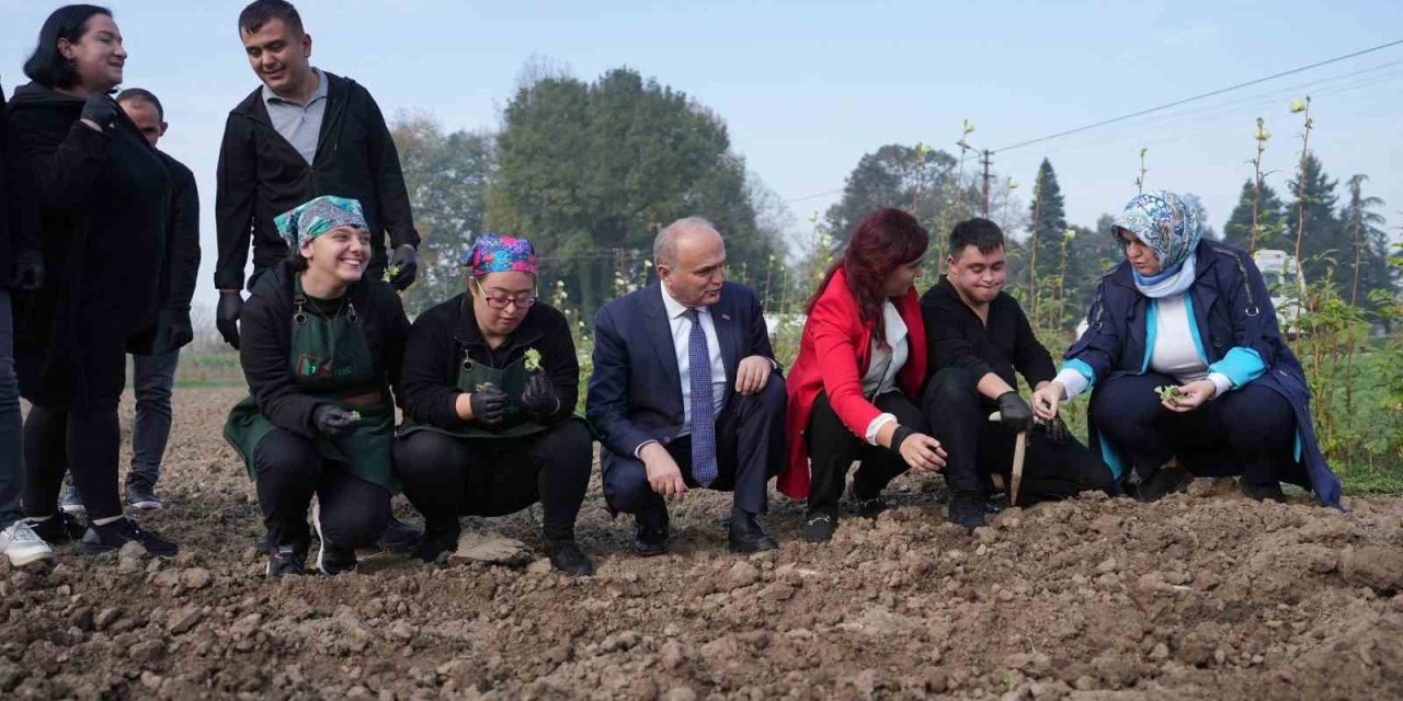 Özenle kurulmuştu. Hasat zamanı gelince akademiye katılanların coşkusu büyük oldu