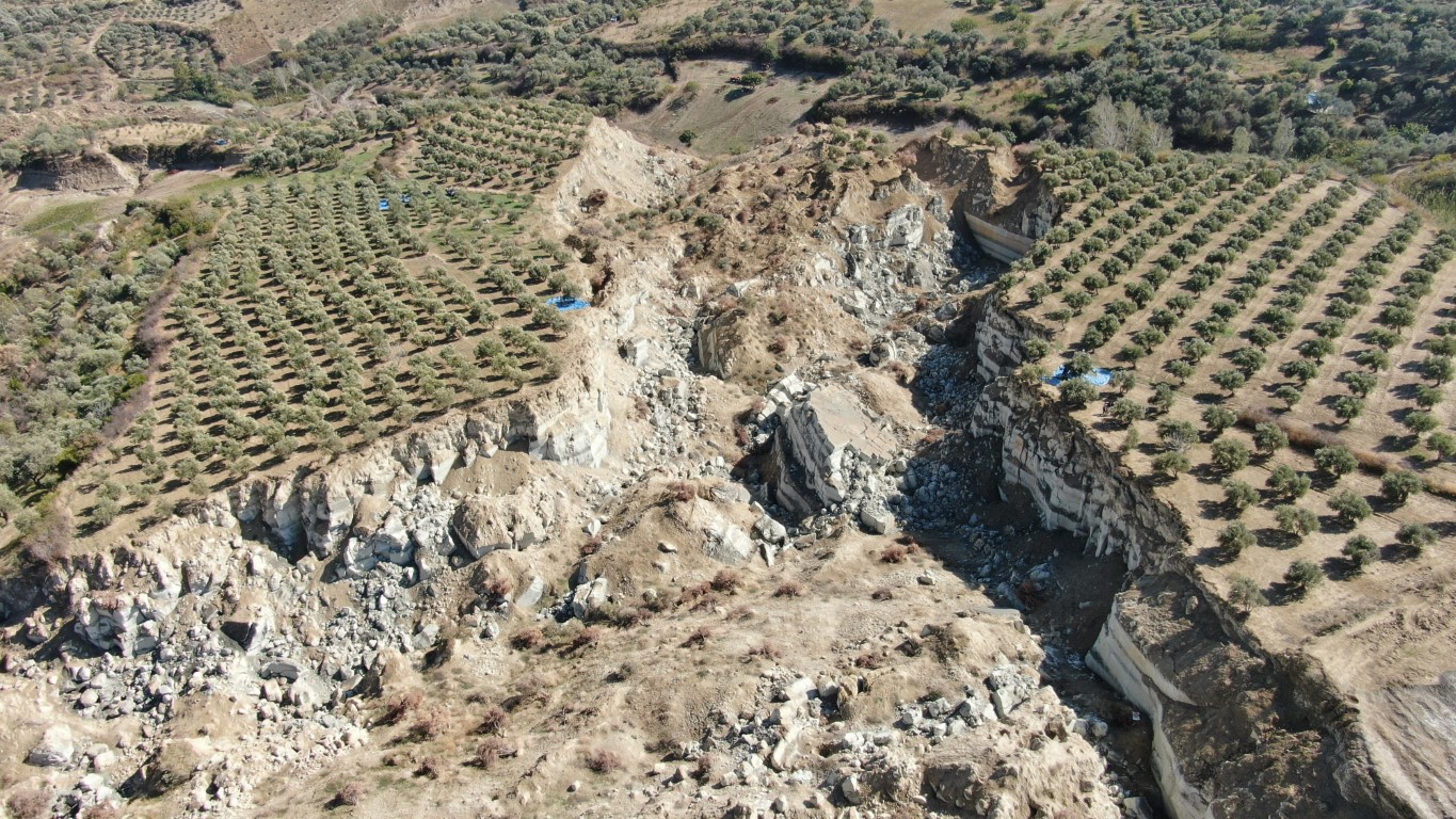 Depremin ikiye böldüğü tarlada ,zeytin hasadı yapıldı