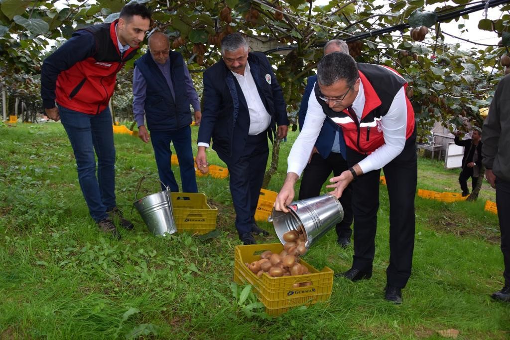 Kışın 1 tane yemek bile korumaya yetiyor. Hasadı başladı! Bahçelerden bereket fışkırdı