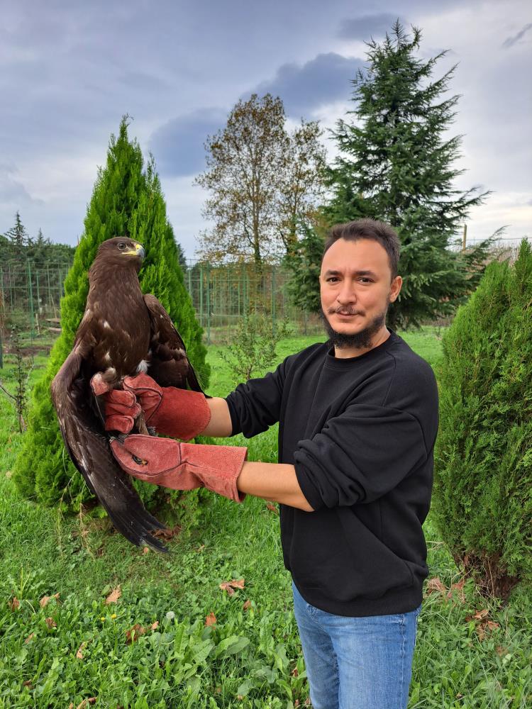 Tedavisi yapılan Kartal’ın ayağına bilezik takarak doğaya salındı