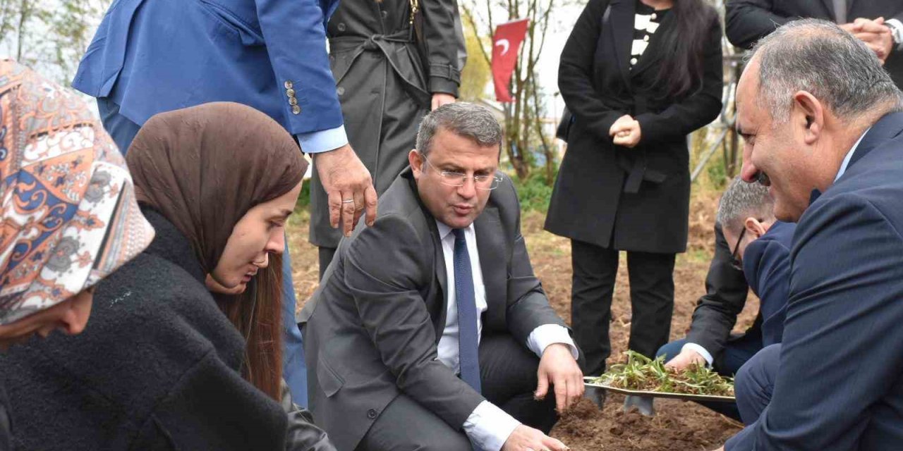 Hakkarili kadınlardan dikkat çeken girişim. Hasat ettikleri ürünleri tüm ülkeye satacaklar