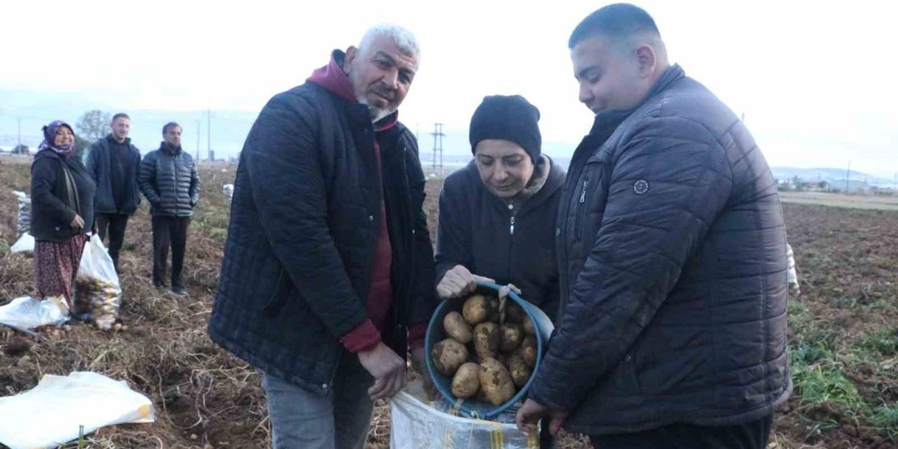 Tarladan sofraya yolculuğu başladı. Hasat sonrasında fiyatlar yüz güldürürken bereket yağdı