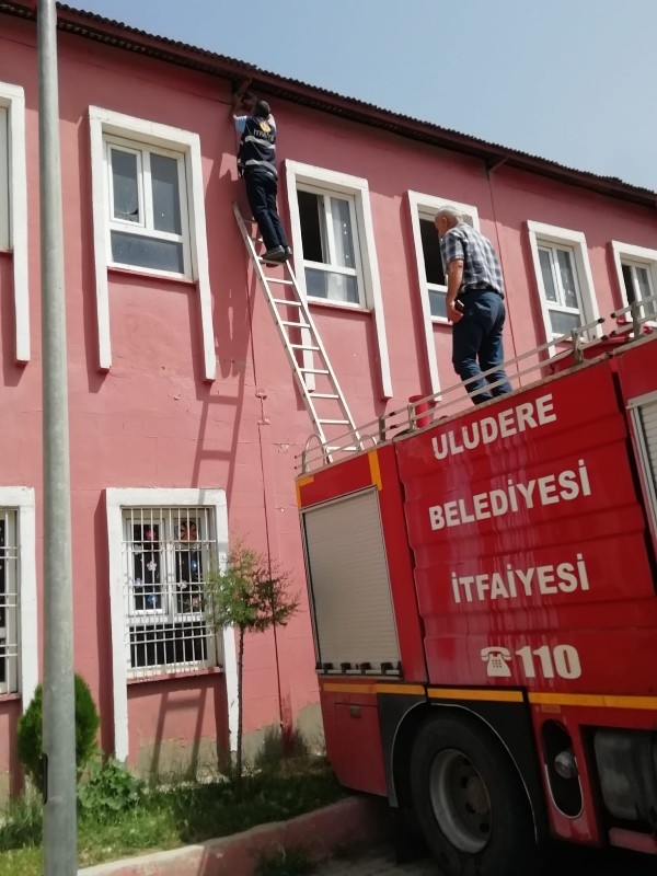 Mahsur kalan hayvanlar jandarma ve itfaiye ekipleri tarafından kurtarıldı