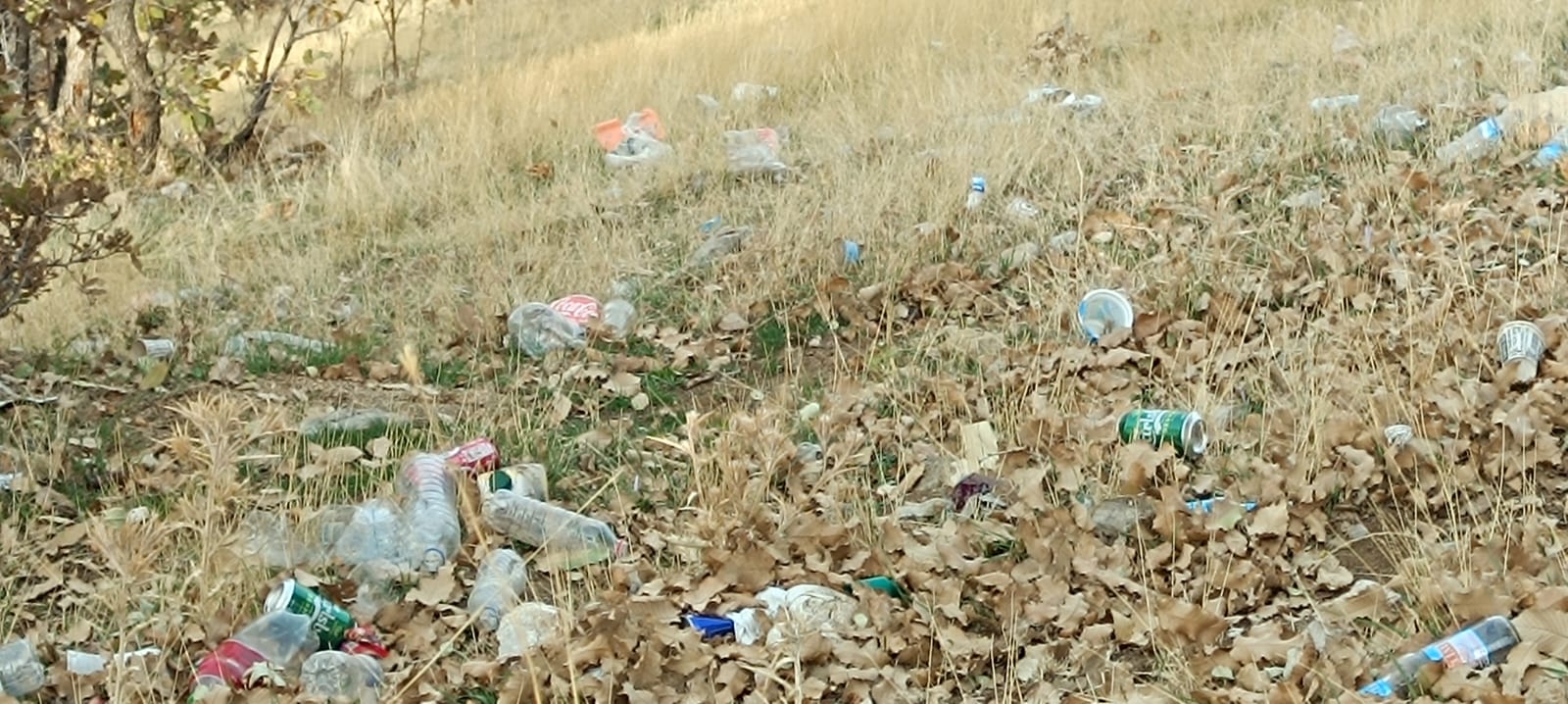 Şırnak-Siirt Çevre yolu Alkol Şişeleri ve Pislikten geçilmiyor