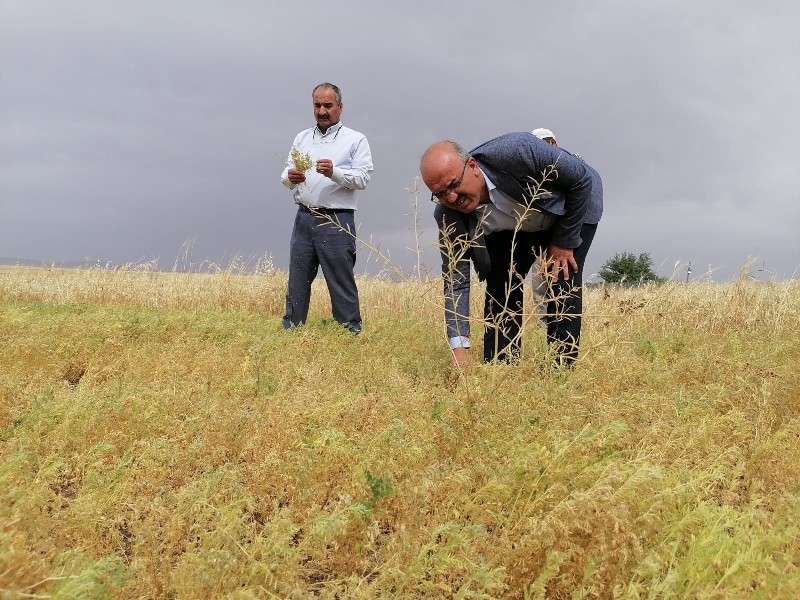 Kuraklık Şırnak'ta da etkisini göstermeye başladı