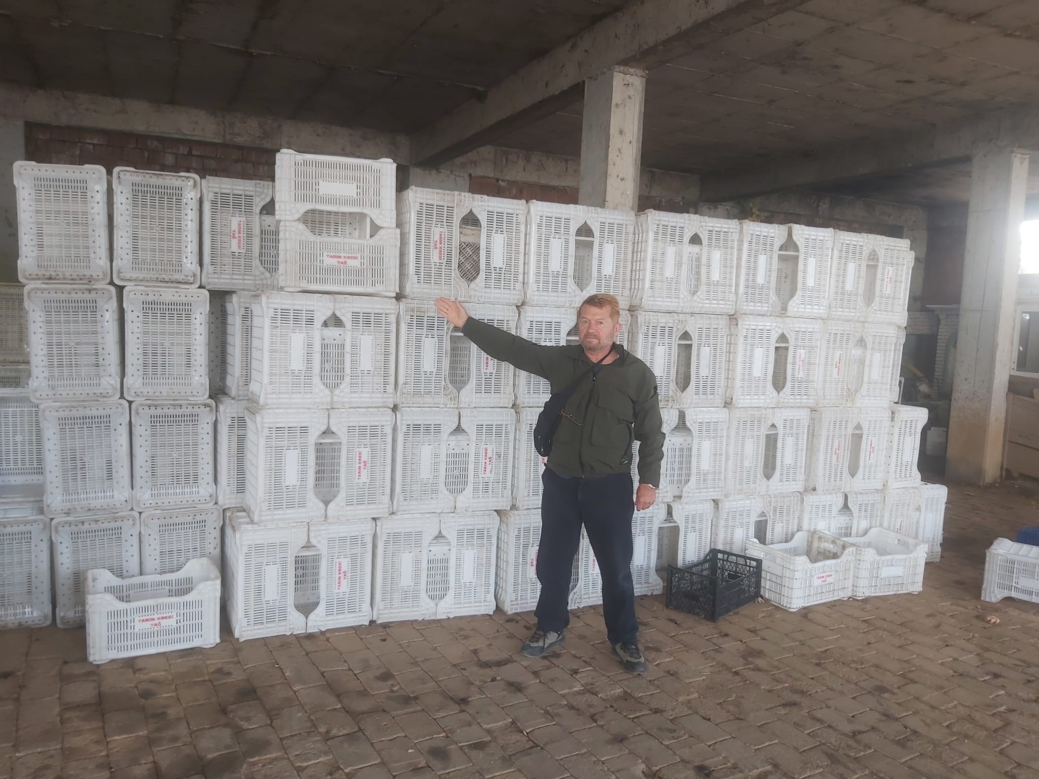 1000 Nüfuslu Köydeki zeytin üreticileri Mağdur