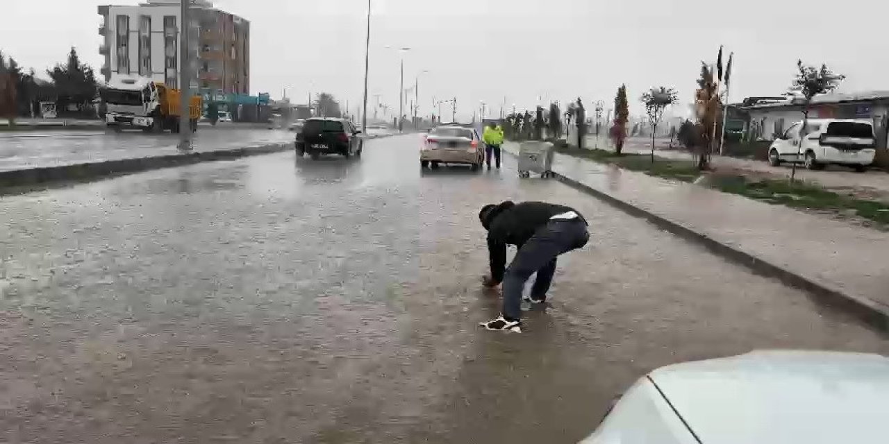 Sele kapılan serçeyi habere giden gazeteci kurtardı