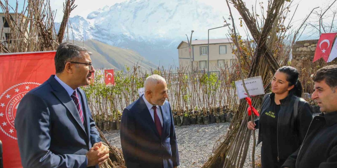 Hasat sonrasında binlerce ton  ürün elde edilecek! Bir serveti ücretsiz dağıttılar