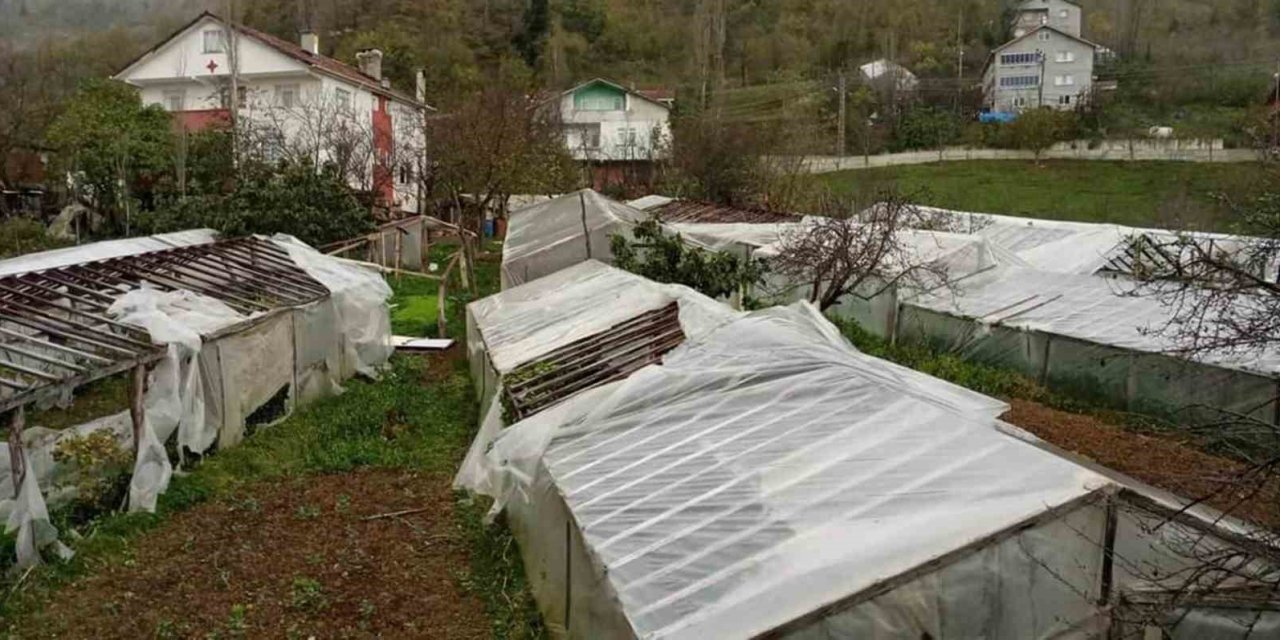 Hasar çok büyük. Hasat tehlikeye girdi. Sebze kıtlığı yaşanabilir