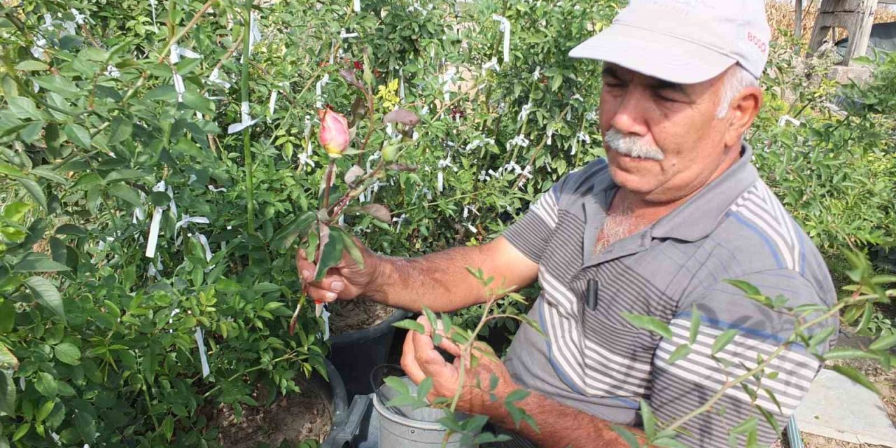 Emekli vatandaş hobisini işe dönüştürdü! Şimdi binlerce lira gelir elde ediyor