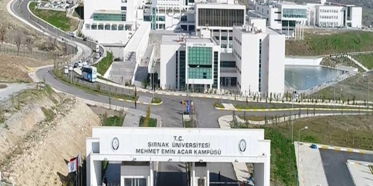 Şırnak üniversitesi öğretim görevlisi alımı yapılacak!