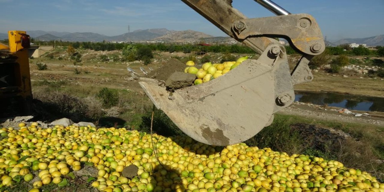 10 ton limon imha edildi