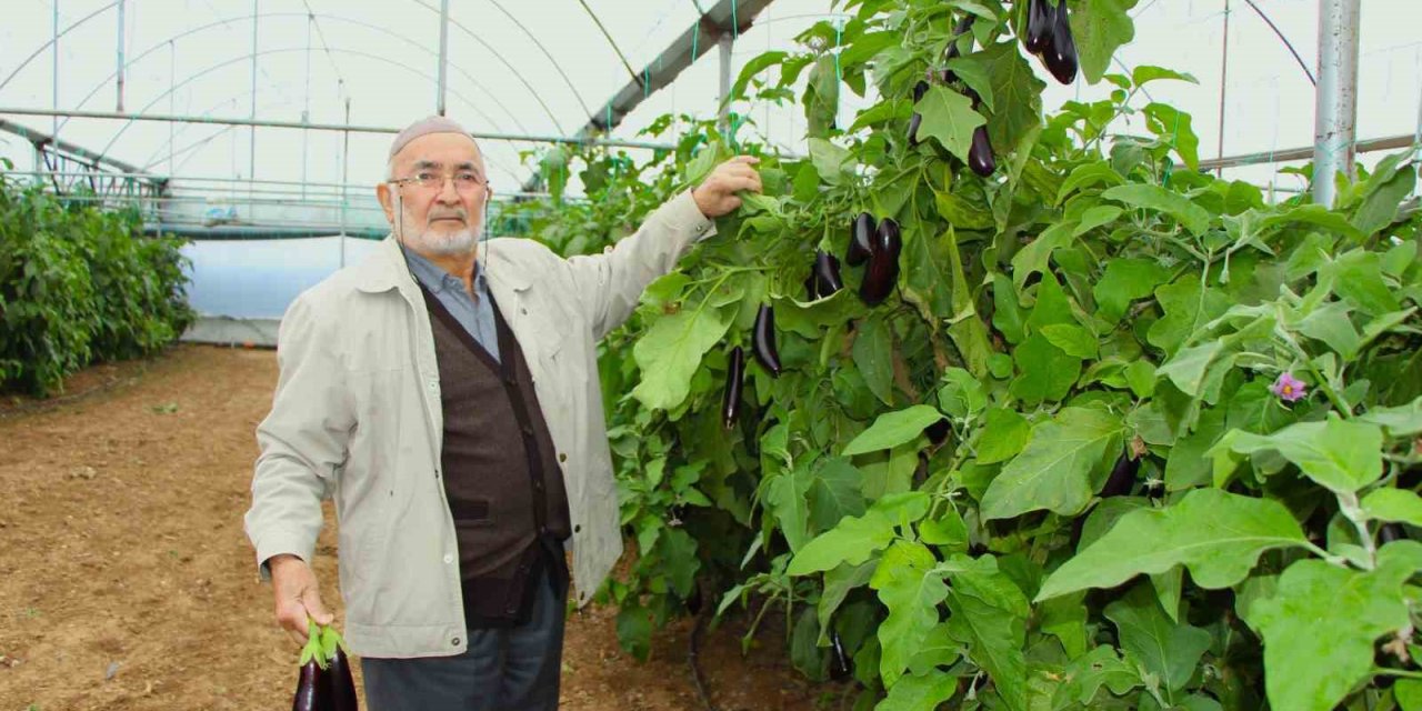 Yazın sökmedi daha yeni hasat etti! Şimdi kilosunu 3 katı fiyattan satıyor