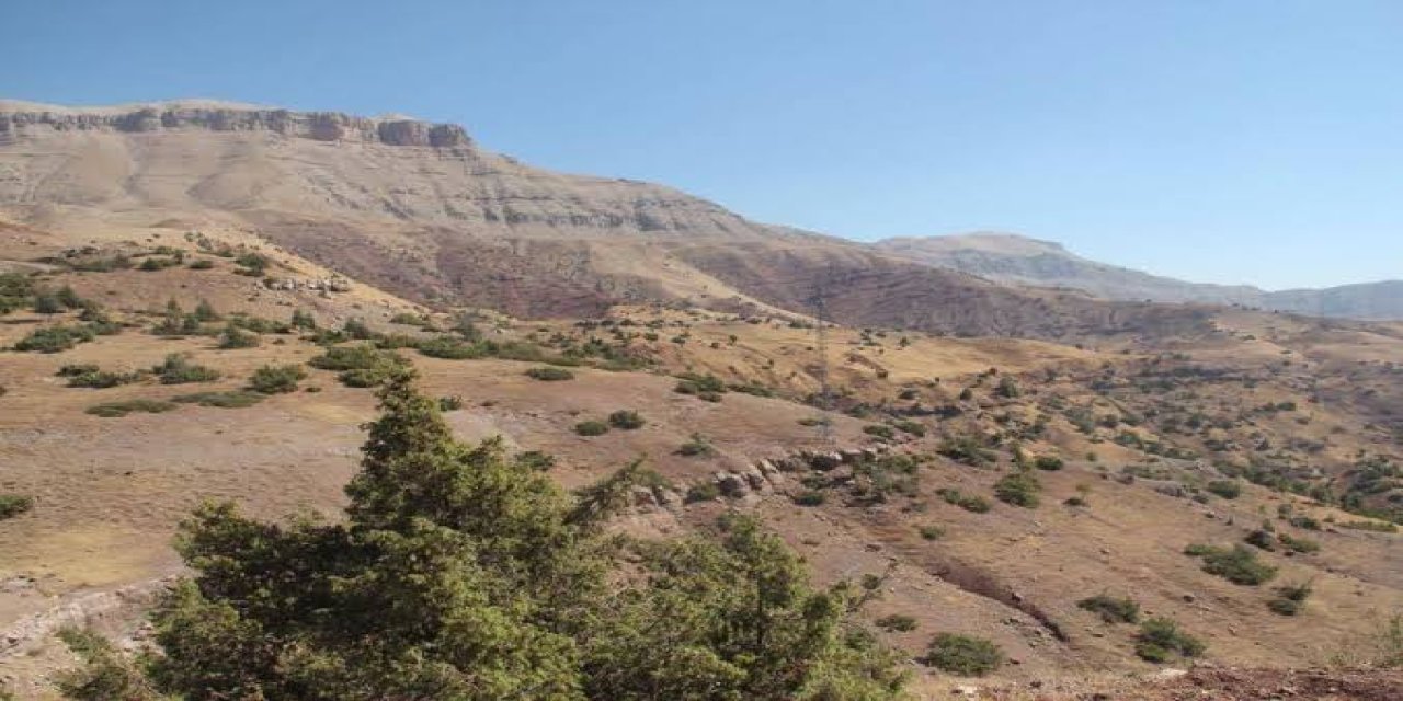 Şırnak’ta tarla kavgası: 3 kişi yaralı