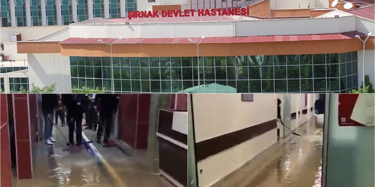 Şırnak’a 56 hekim ataması yapıldı mı ? 2024 doktor atamaları ne zaman yapılacak?işte detaylar