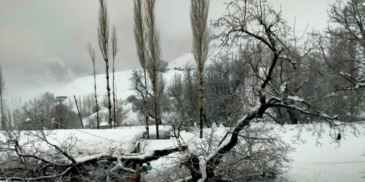 Şırnak'ta fırtına ağaçları devirdi