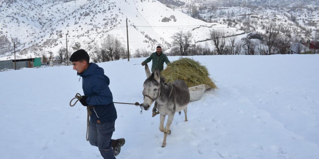 Şırnak’ta hayvan besicilerinin zorlu kış mesaisi