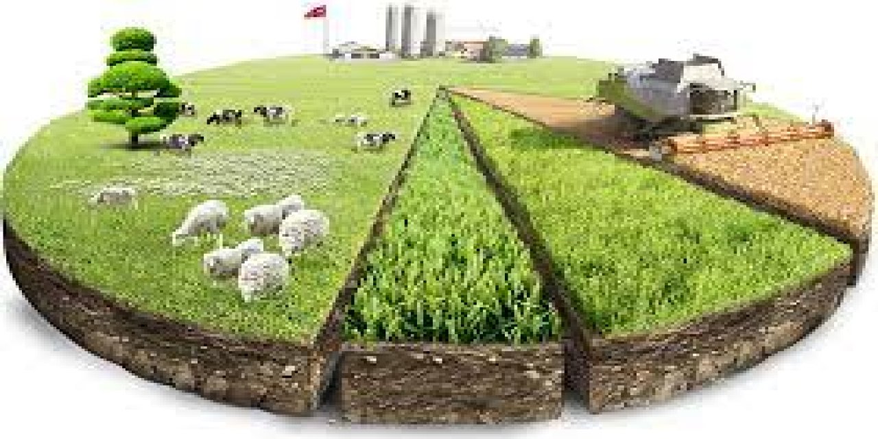TUİK açıkladı: Tarımda 2023 yılında artan ve azalan ürünler