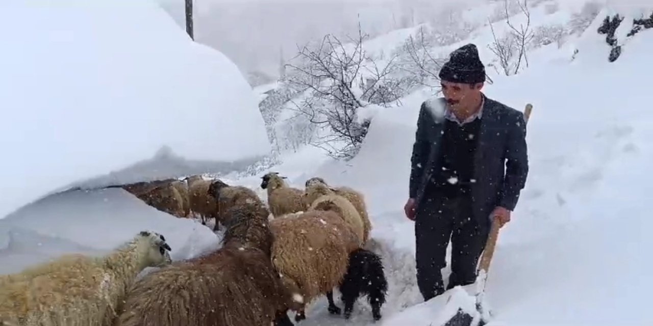 Doğuda zorlu kış;Hayvanlar için kardan tünel yapıldı