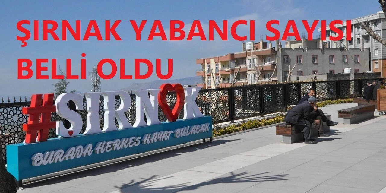 Şırnak'ta Yabancı Sayısı Belli Oldu