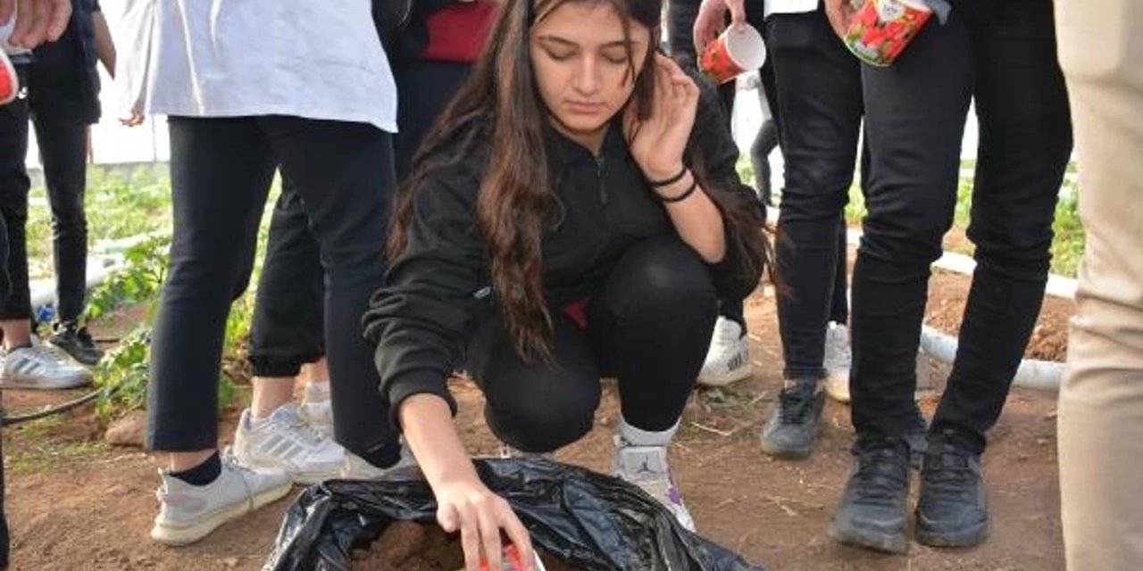 Hollanda lalesi, Şırnak’ta yeşerecek!