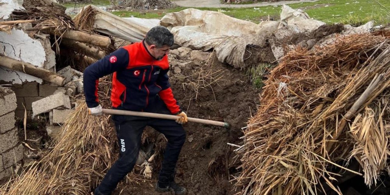 Ahır çöktü: 8 köpekten 5’i kurtarıldı