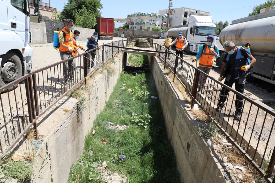 CİZRE’DE İLAÇLAMA ÇALIŞMALARI DEVAM EDİYOR