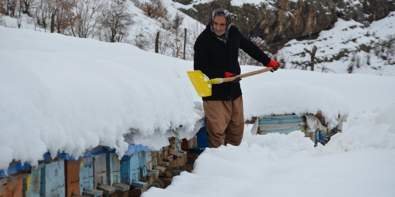 Şırnak'ta Arıcıların Kış Mesaisi!