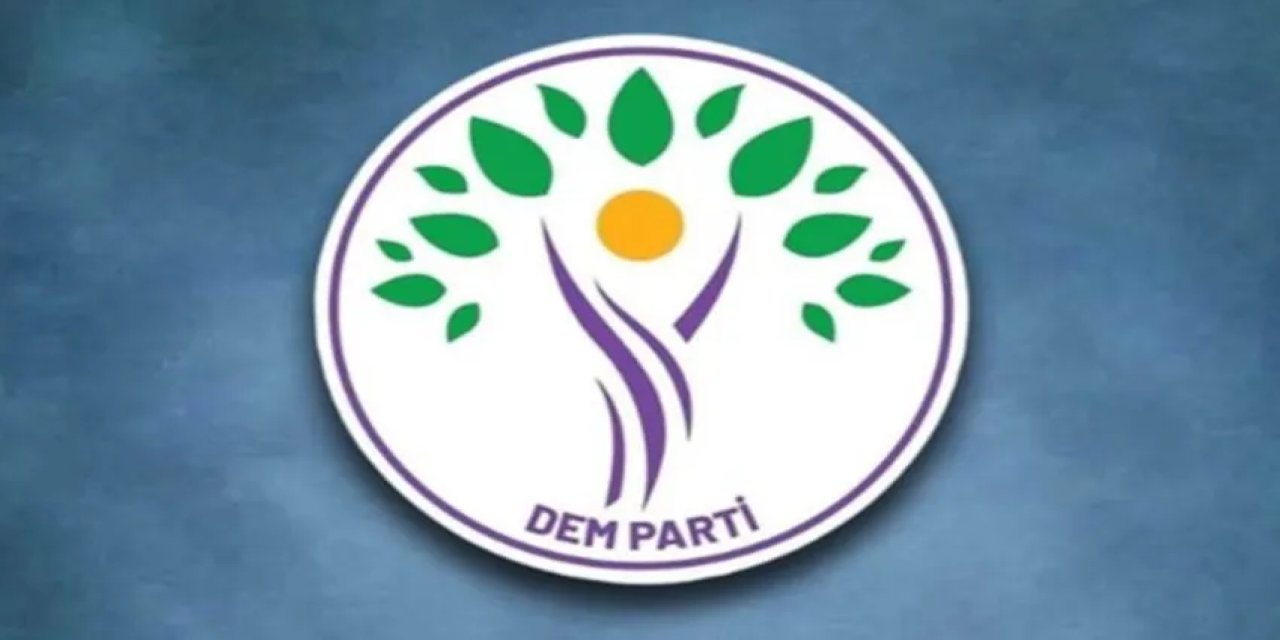 DEM Parti'den İstanbul kararı! İşte o Aday