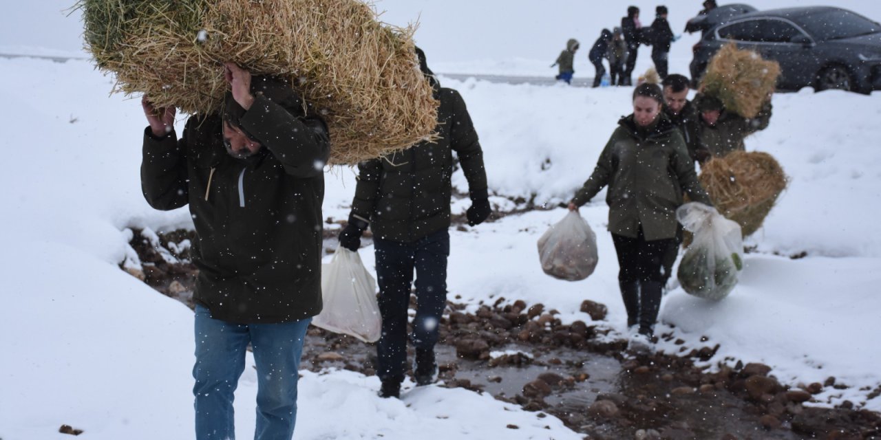 Şırnak’ta yaban hayvanları için sırtlarında yem taşıdılar