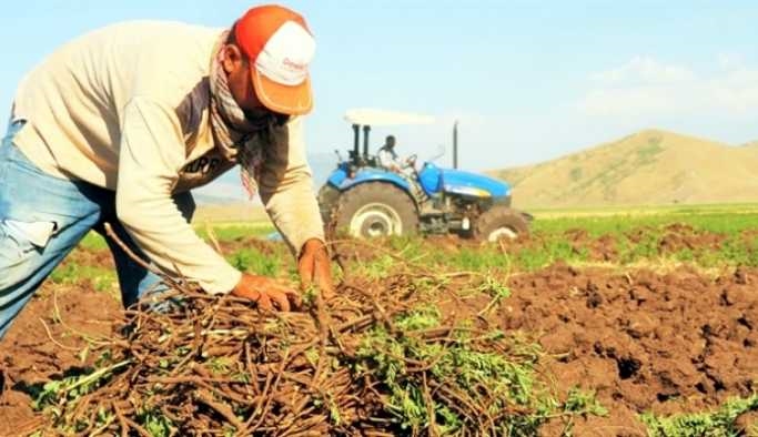 ÇKS BAŞVURULARINDA SON GÜN 30 HAZİRAN