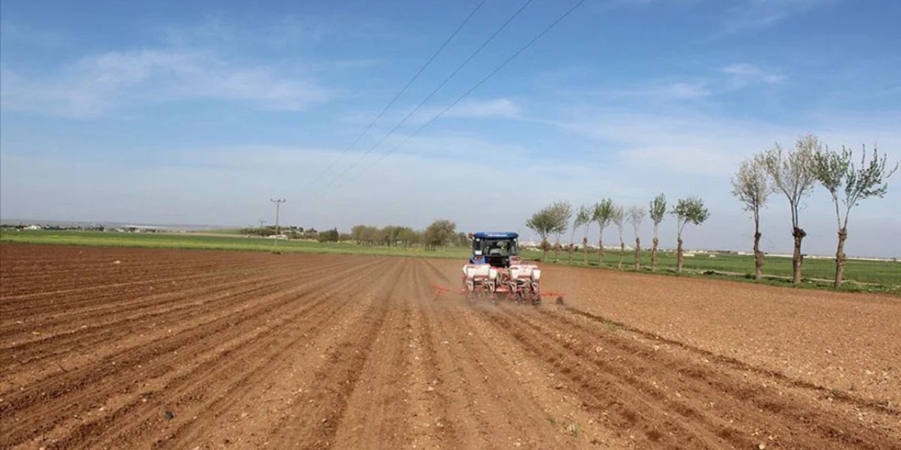 Tarım ve Orman Bakanlığı, yüzde 50 hibe destek başvuru süresini o tarihe kadar uzattı