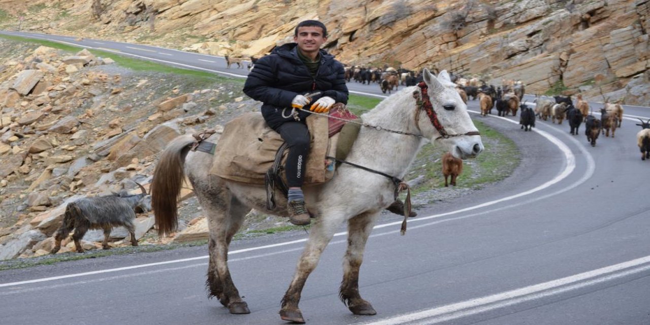Şırnak’ta köylüler hayvanlarını erken dağa çıkardı