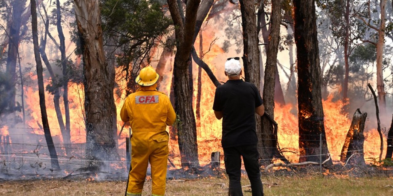 16 bin hektarlık alan yangında küle döndü