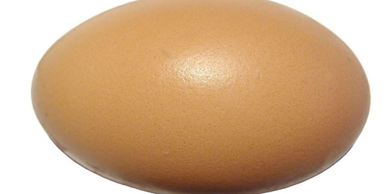 Yumurtanın bozuk olduğu nasıl anlaşılır? İşte bozuk yumurtayı anlama yolu