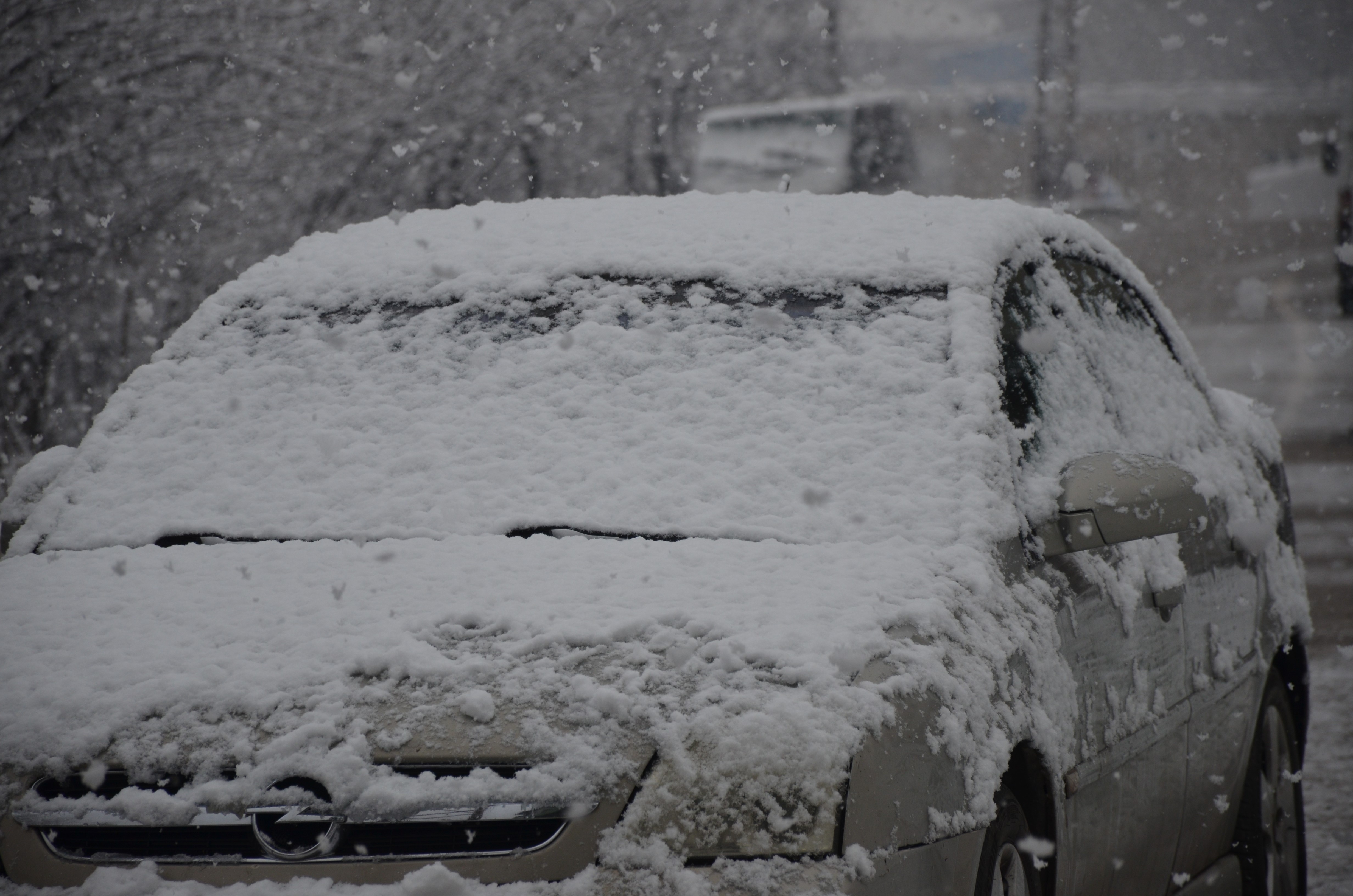 Şırnak'ta kar yağmaya başladı
