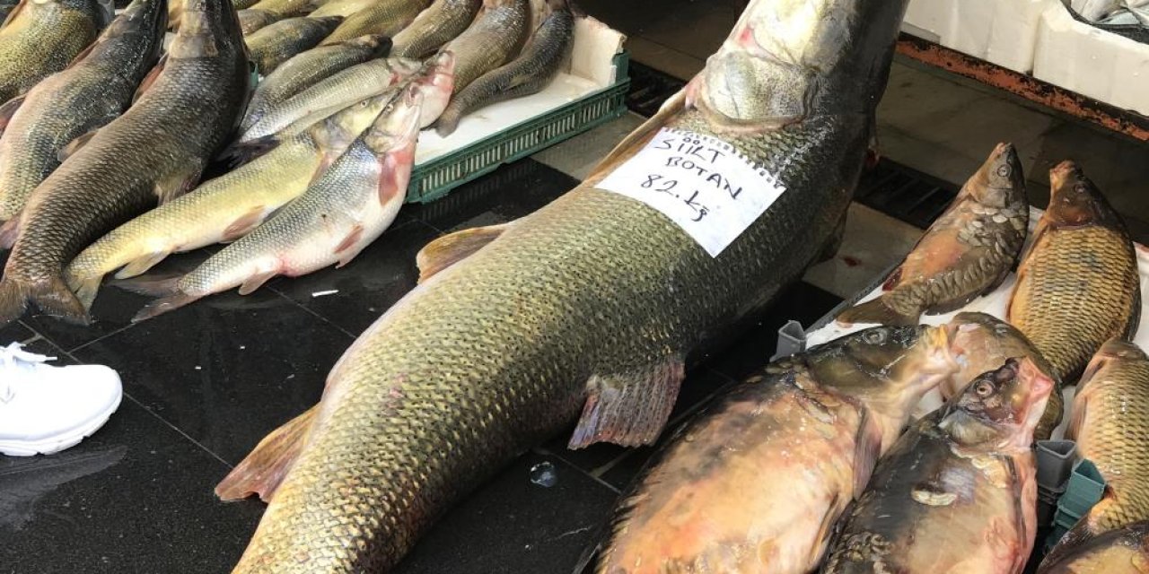 Batman’da tezgahlarda satışa sunulan 82 kilo ağırlığındaki turna balığı ilgi odağı oldu