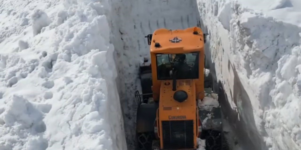 Şırnak'ta kardan kapanan Tanin geçidinde yol açma çalışması başlatıldı