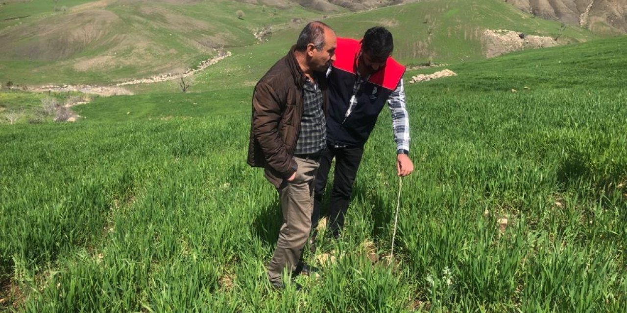 Şırnak İl Tarım Müdürlüğü'nden Önemli Adım: Atıl Araziler İşleniyor