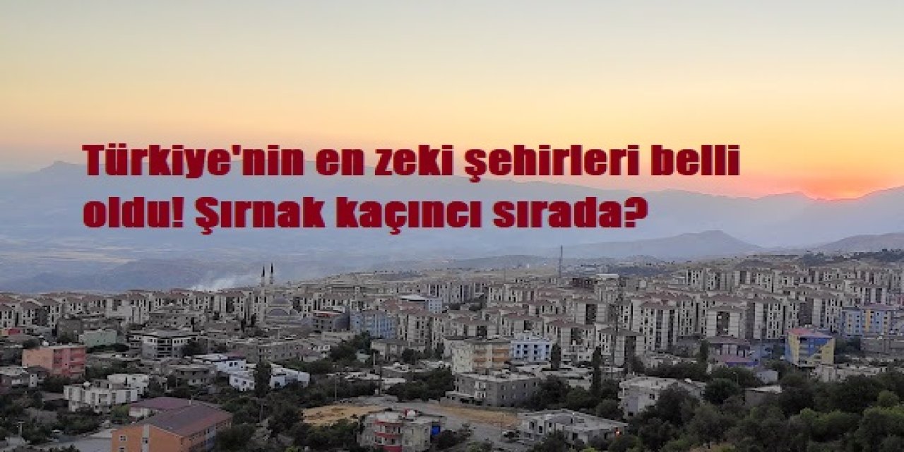 Türkiye'nin en zeki şehirleri belli oldu! Şırnak kaçıncı sırada?