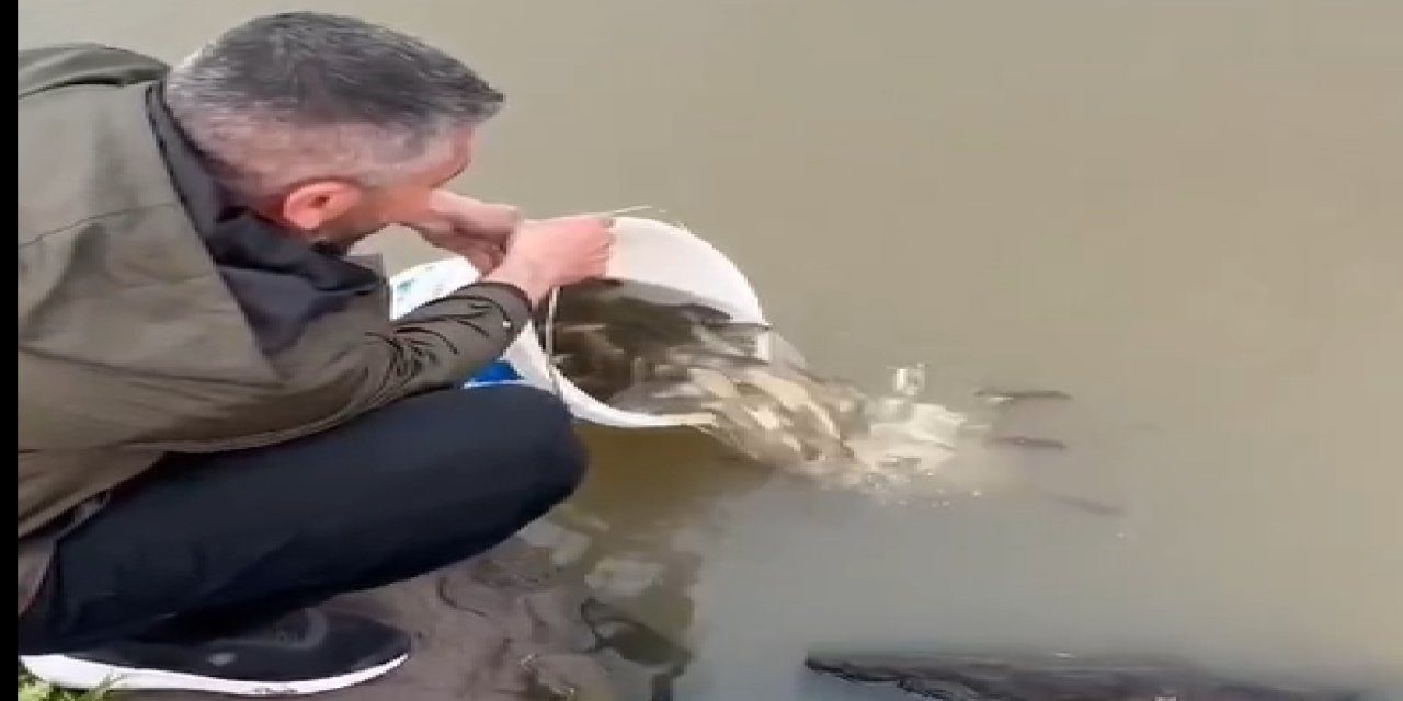 Şırnak'ta duyarlı vatandaş gölette balık bıraktı