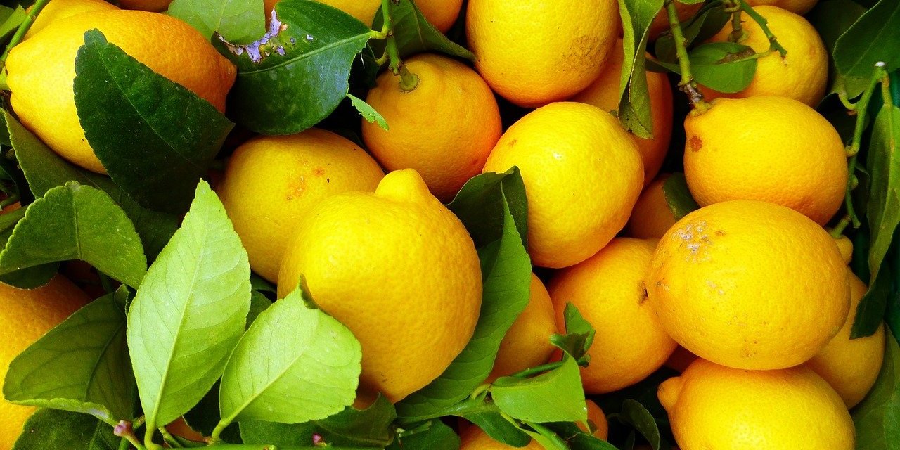 Limonun daha önce duyulmamış şaşırtıcı kullanım alanları. Öğrenenler çok şaşırdığını söylüyor