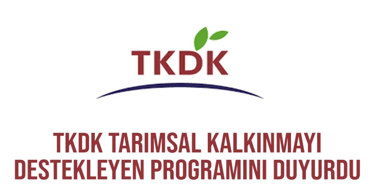 TKDK Şırnak kurumuna proje başvurularında bilmeniz gereken detaylar açıklandı