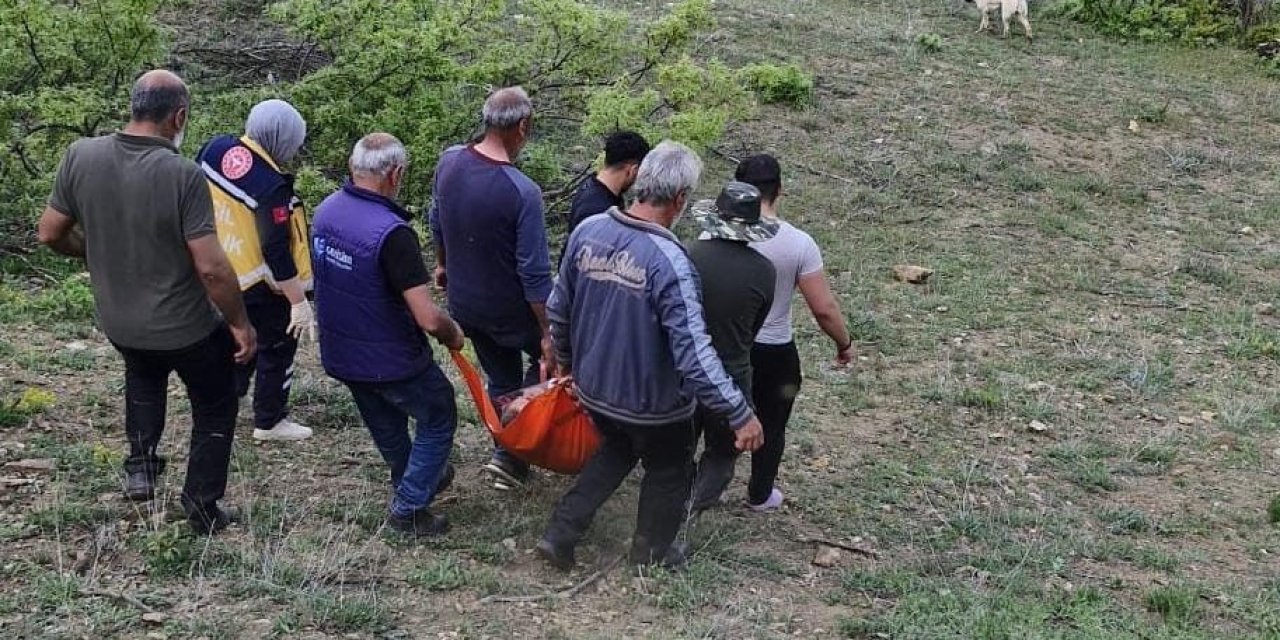Tunceli’de ayının saldırısına uğrayan şahıs yaralandı
