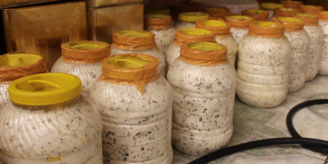 İstanbul, İzmir ve Mersin'de Yüksek Talep Gören Siirt Üretimi Kışlık Peynir Satışa Sunuldu
