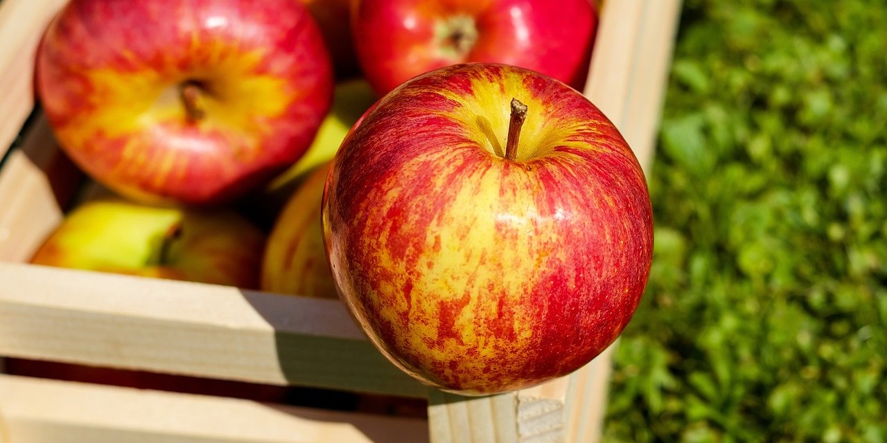 Günde 1 adet elma yemenin 5 faydası. Faydaları sizi öğrendiğinizde çok şaşıracaksınız