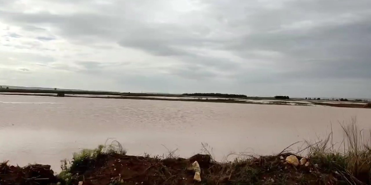 Sağanak yağış nedeniyle  tarım arazileri sel suları altında kaldı