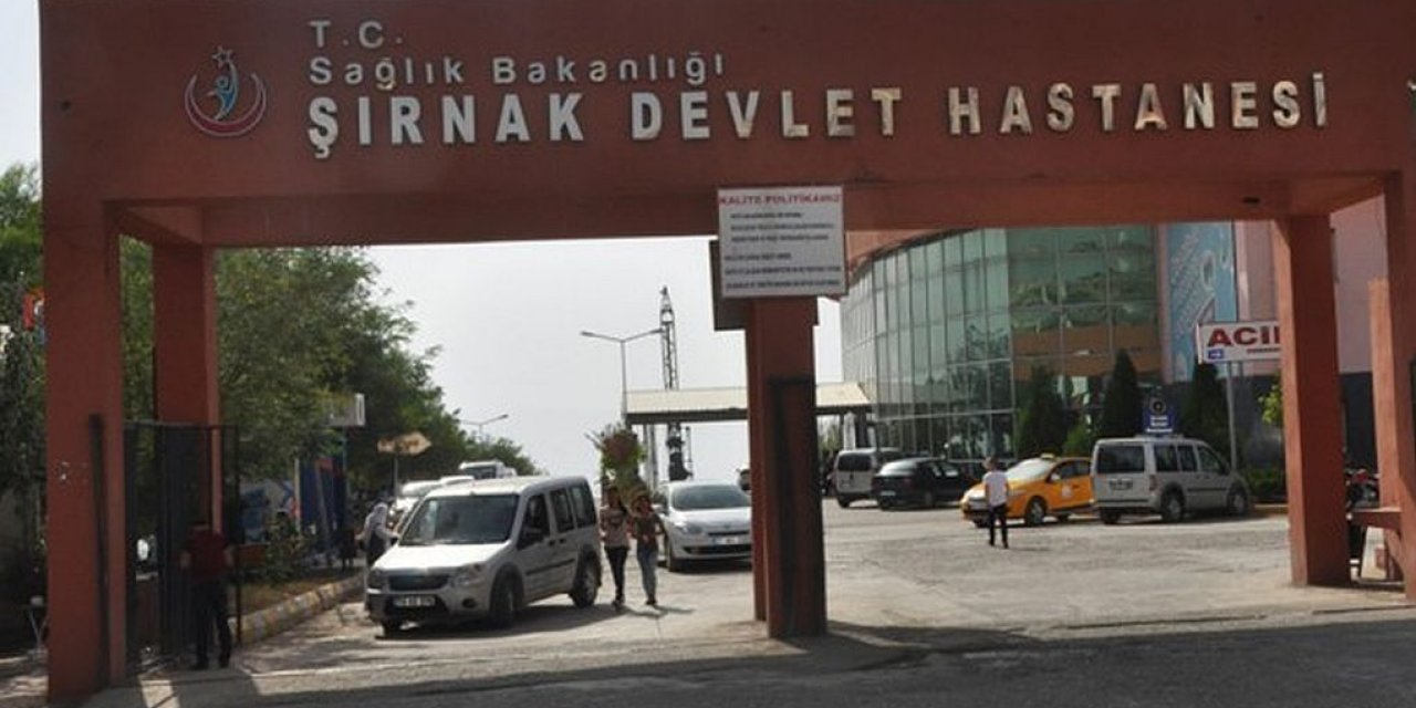 Şırnak'a 37 Yeni Hekim Atanıyor: İşte Branşları ve Atanacak Hastaneler!