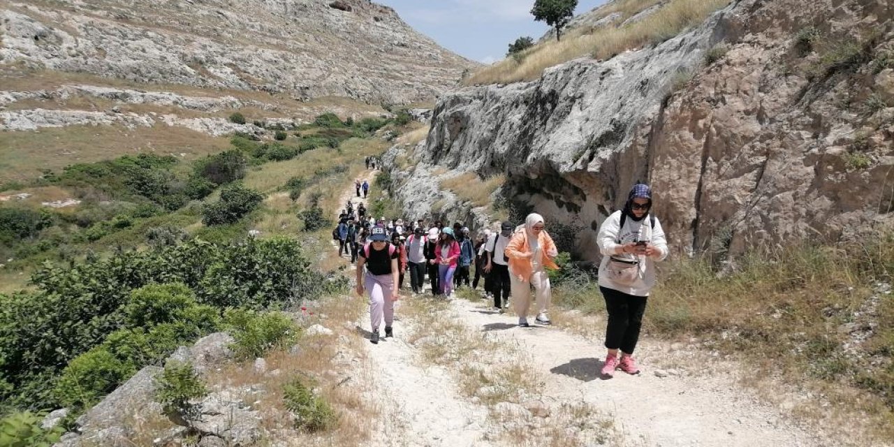 Doğaseverler 'karagül’e dikkat çekmeye çalıştı