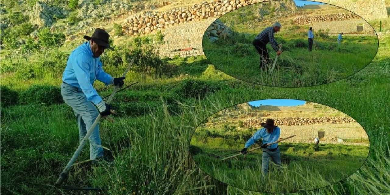 Namaz Dağı'nda Ata Geleneği Yaşatılıyor: Tırpanla Ot Biçme Devam Ediyor